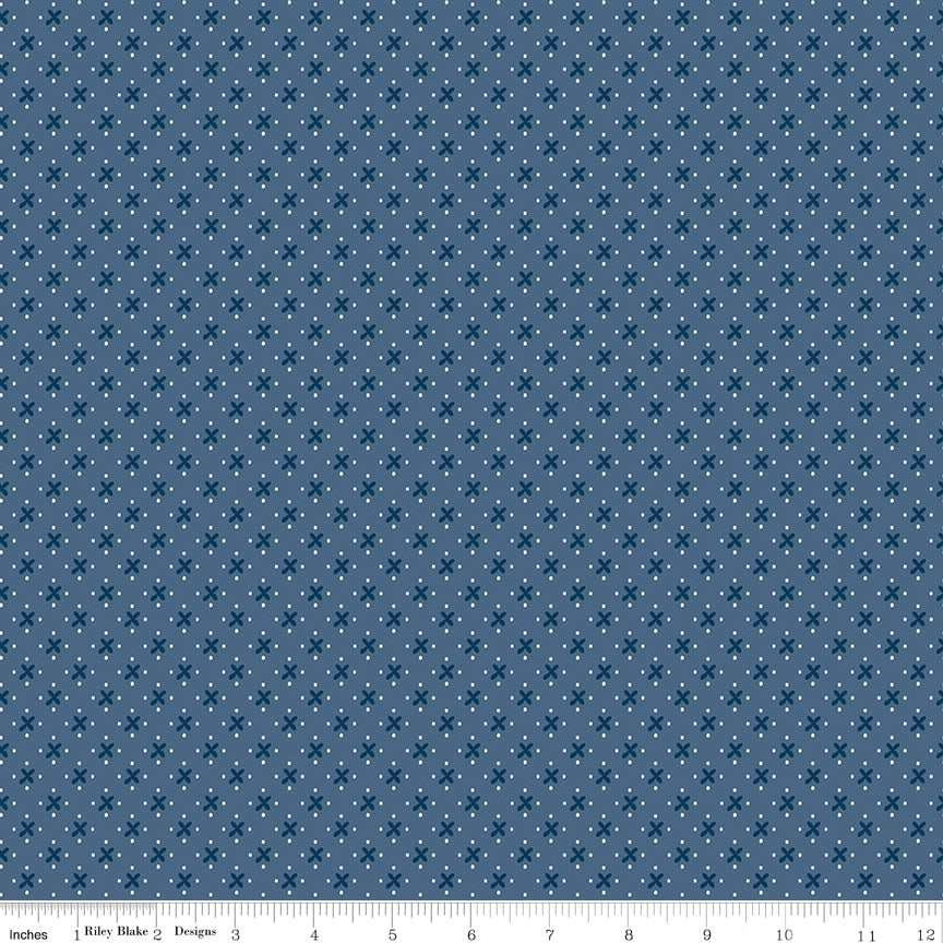 Blue fabric with little X's and small dots.