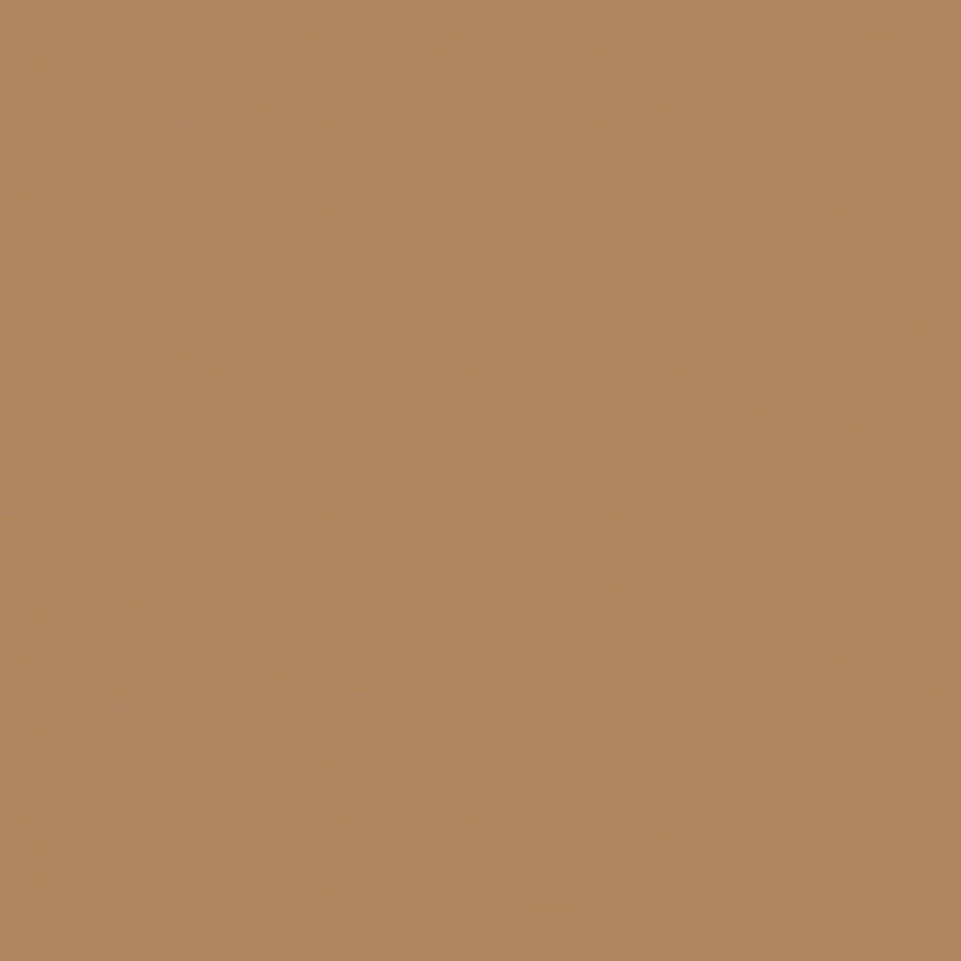 Solid tan fabric swatch