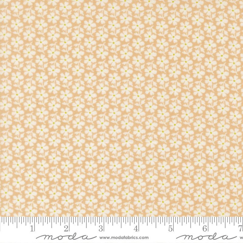 A close-up of a fabric pattern featuring small white daisy-like flowers with yellow centers on a warm peach-beige background, with a ruler along the bottom edge and Moda Fabrics branding visible.
