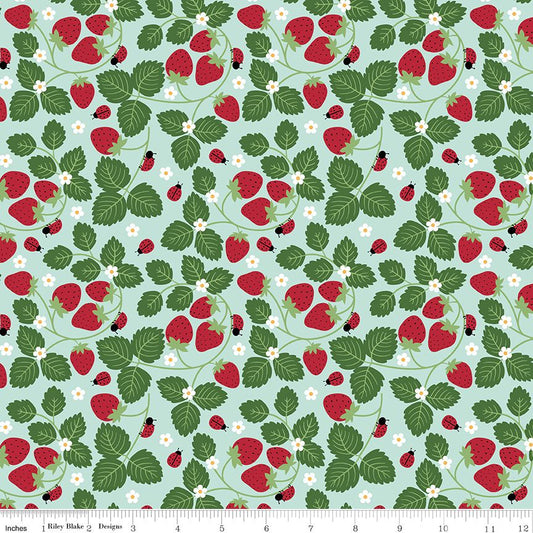 Little Ladybug Strawberries Blue