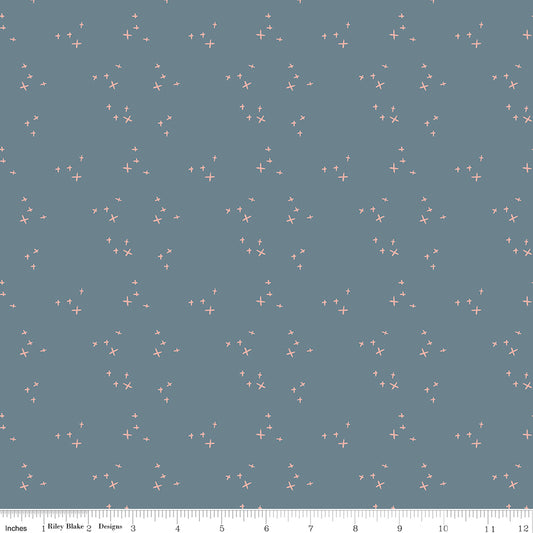 Blue fabric with scattered X's.